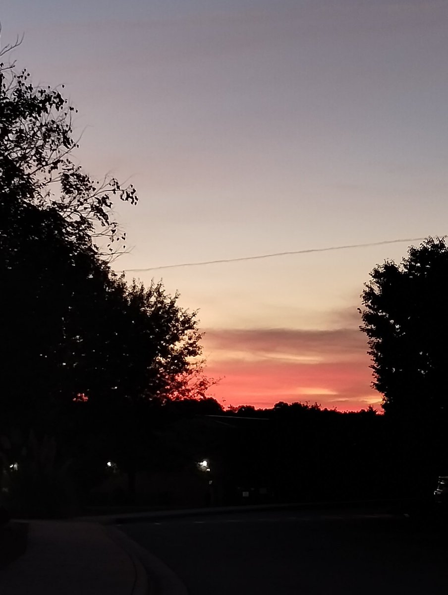 Fernand01771's tweet image. It's such a beautiful day to show the best version of you @adamanteamx @ParticipateLrng @MarvinRidgeHSNC @UCPSNC