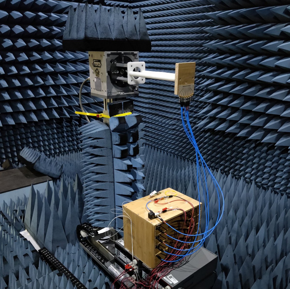 Ivana Gasulla tweet media