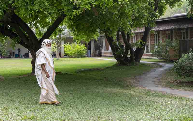 SadhguruJV's tweet photo. Your very body is Earth. Let us walk gently and sensibly upon this planet. #SadhguruQuotes https://t.co/DD5112RCMu