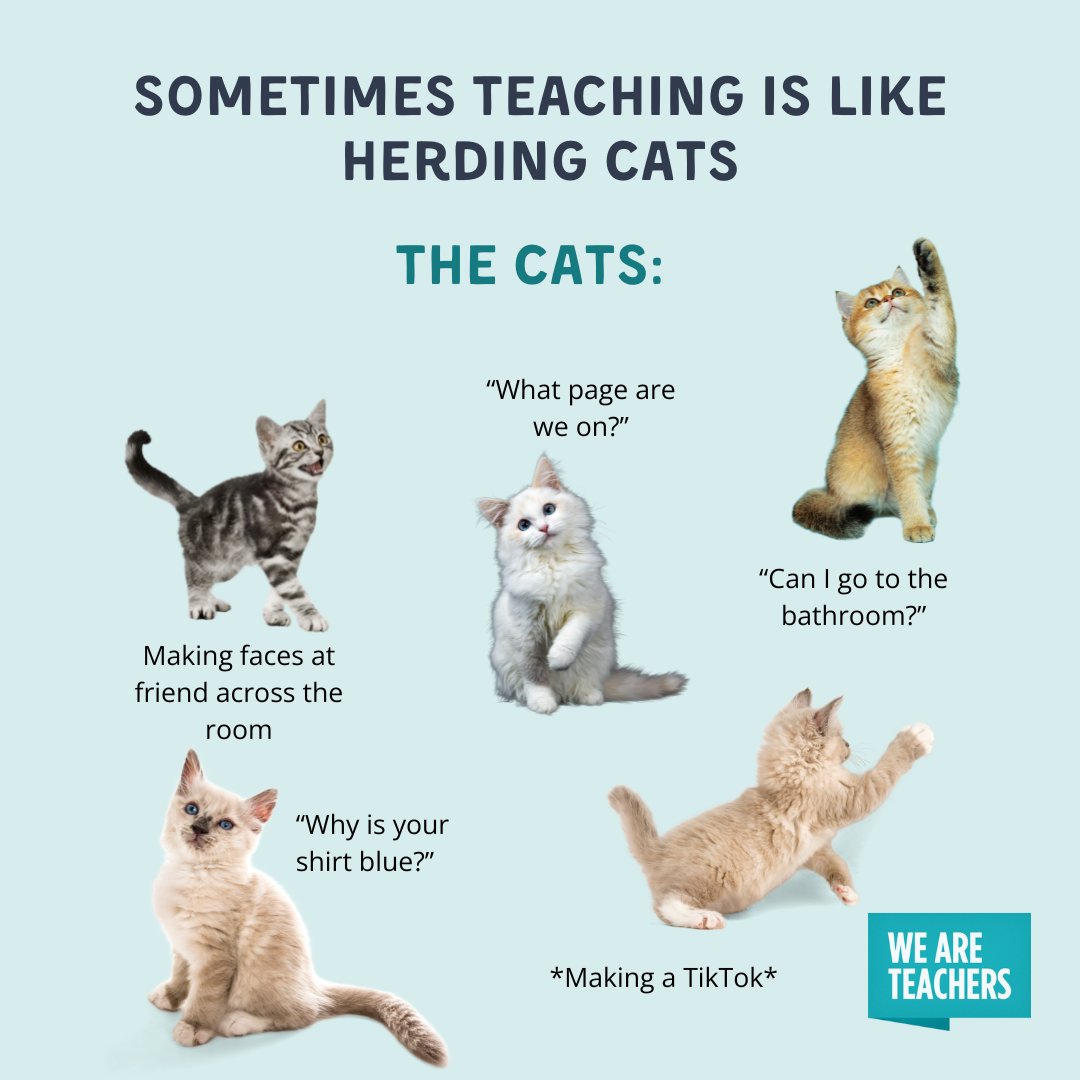WeAreTeachers's tweet photo. Accurate. https://t.co/XFTJj9tZuc