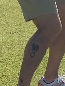 Steve Montgomery tweet media