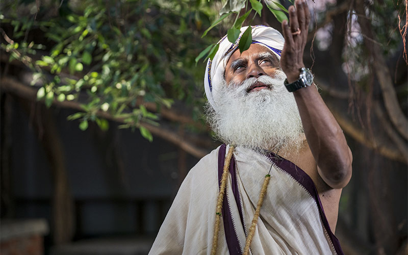 SadhguruJV's tweet photo. Being a creature on the planet means the hand of the Creator has touched you. There is no better blessing. #SadhguruQuotes https://t.co/bCUaD5BLrL