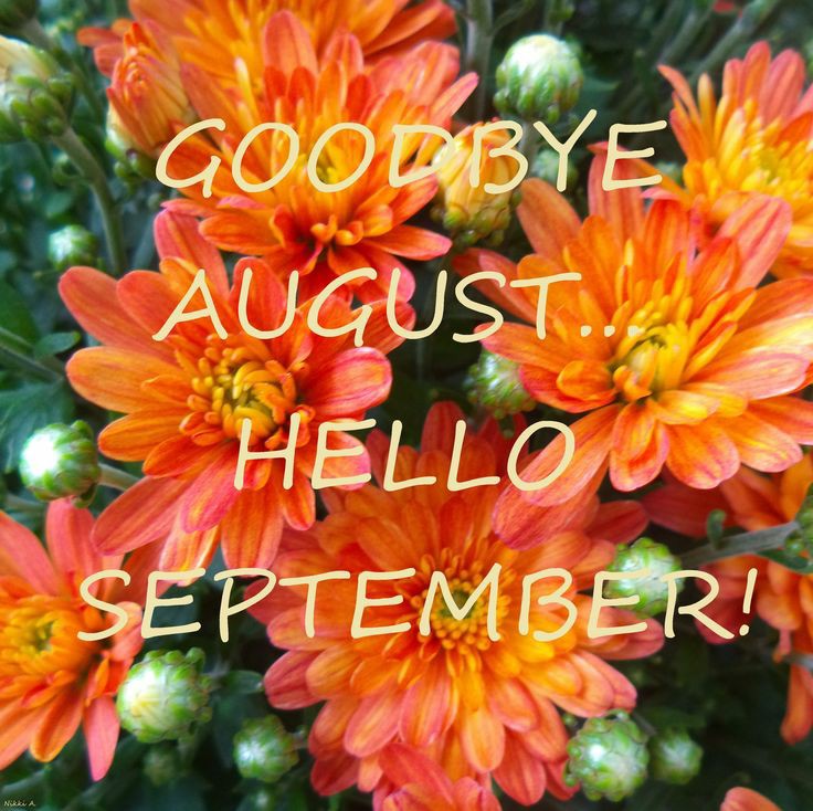 armsstrong351's tweet photo. August proved cruel month for Pakistan.
#DearSeptember 
be kind with us. https://t.co/XpuRehQtDc