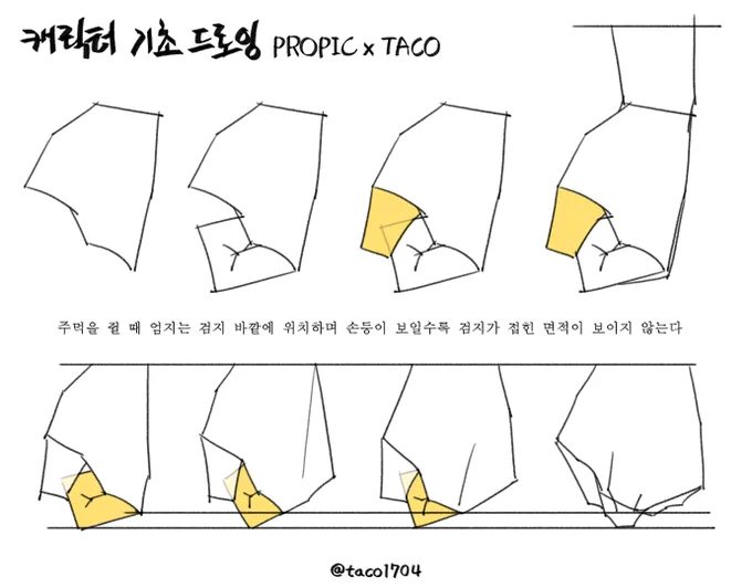 주먹을 쥘 때 엄지는 검지 바깥에 위치하며 손등이 보일수록 검지가 접힌 면적이 보이지 않는다 