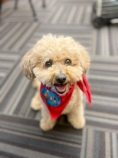 Prosecutor G. Gary Tyack tweet media