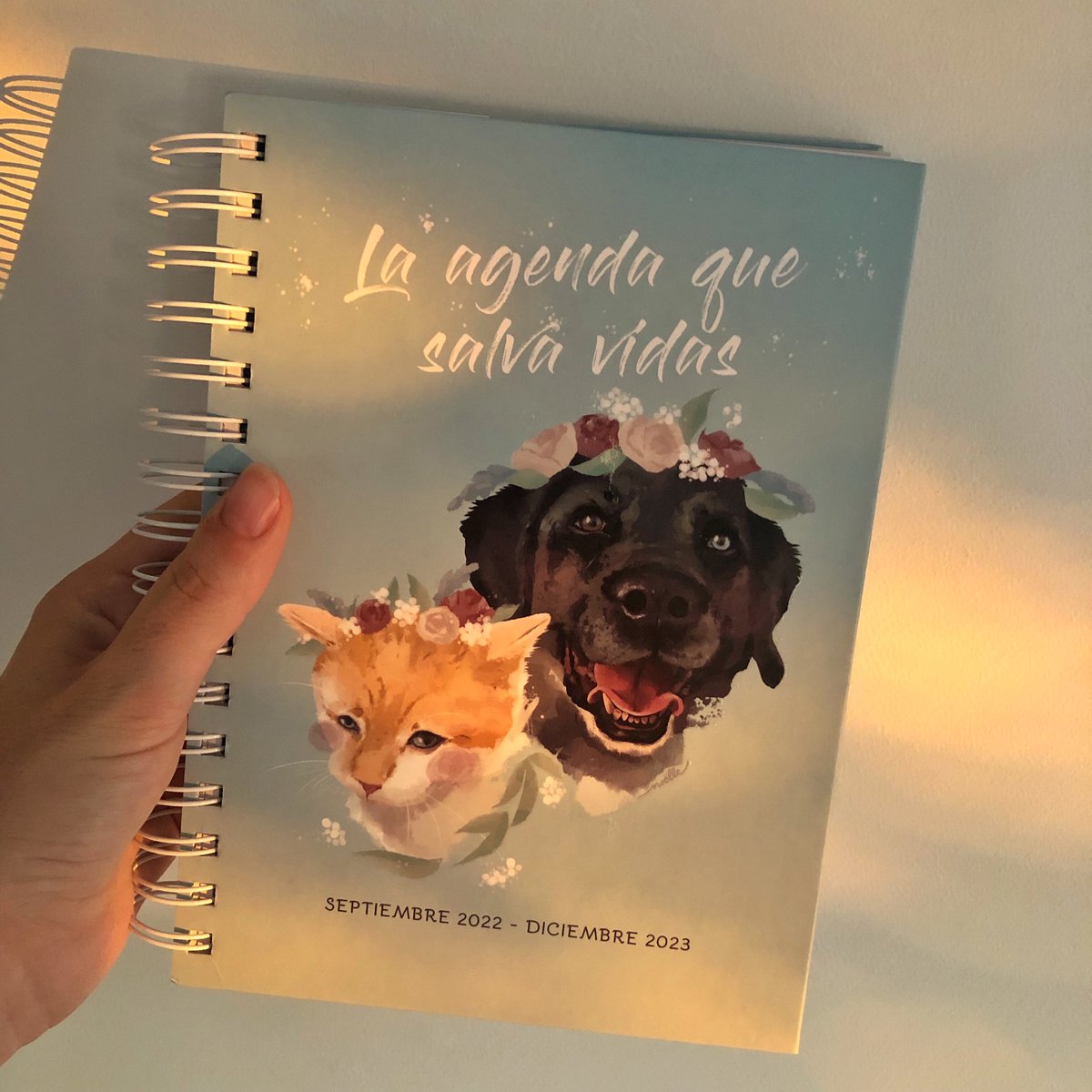xtina_mandarina's tweet photo. Hoy estreno mes y agenda 📒
Precioso proyecto de la protectora #SVPAP e ilustración de portada de @noleesheep 💙 https://t.co/e5UgyD0DkI