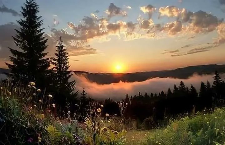 aestheticspost_'s tweet photo. from sunrise to sunset. https://t.co/TrvsFwjWwJ