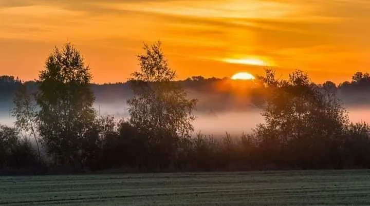 aestheticspost_'s tweet photo. from sunrise to sunset. https://t.co/TrvsFwjWwJ