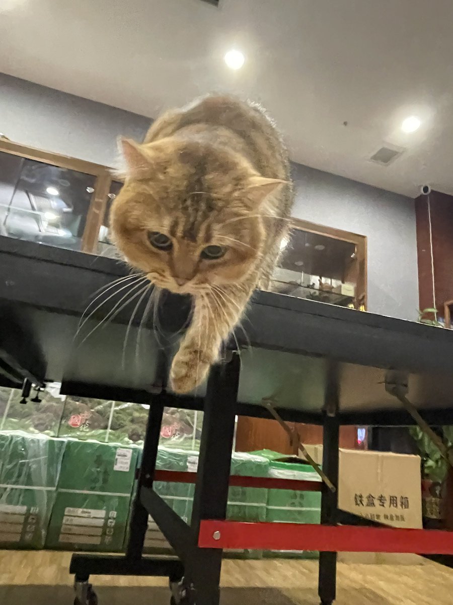 Leekkactus's tweet photo. so lazy.... https://t.co/DCDmLt8wVI