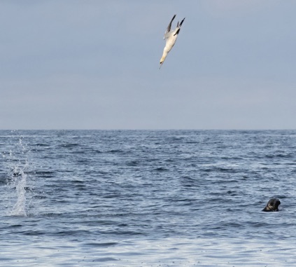 Wetwheels Yorkshire tweet media