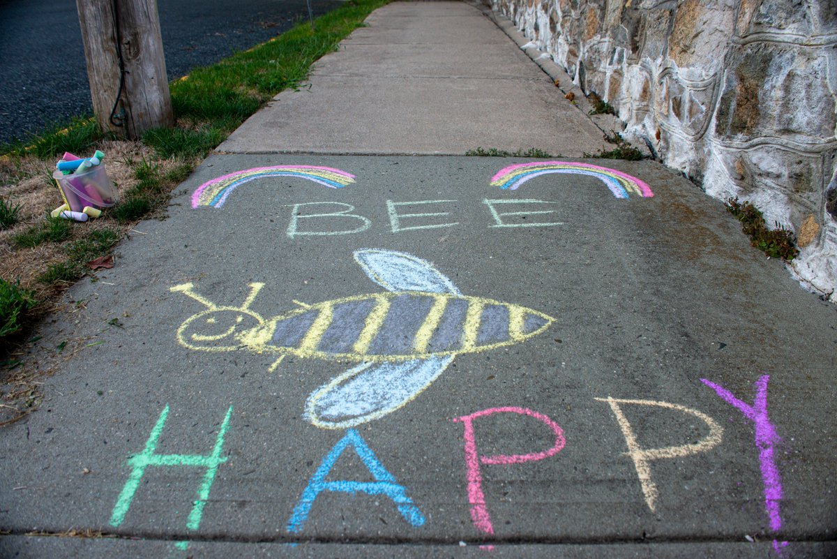 HighBridgeHound's tweet photo. WFHB Volunteers "chalked the walk" yesterday with encouraging messages to welcome back High Bridge elementary and middle school students for the 2022/2023 year. Look along and around Church and Thomas Street to see.
#SmallTownLife #HighBridgeNJ #HunterdonNJ https://t.co/DcdaNs5TEw