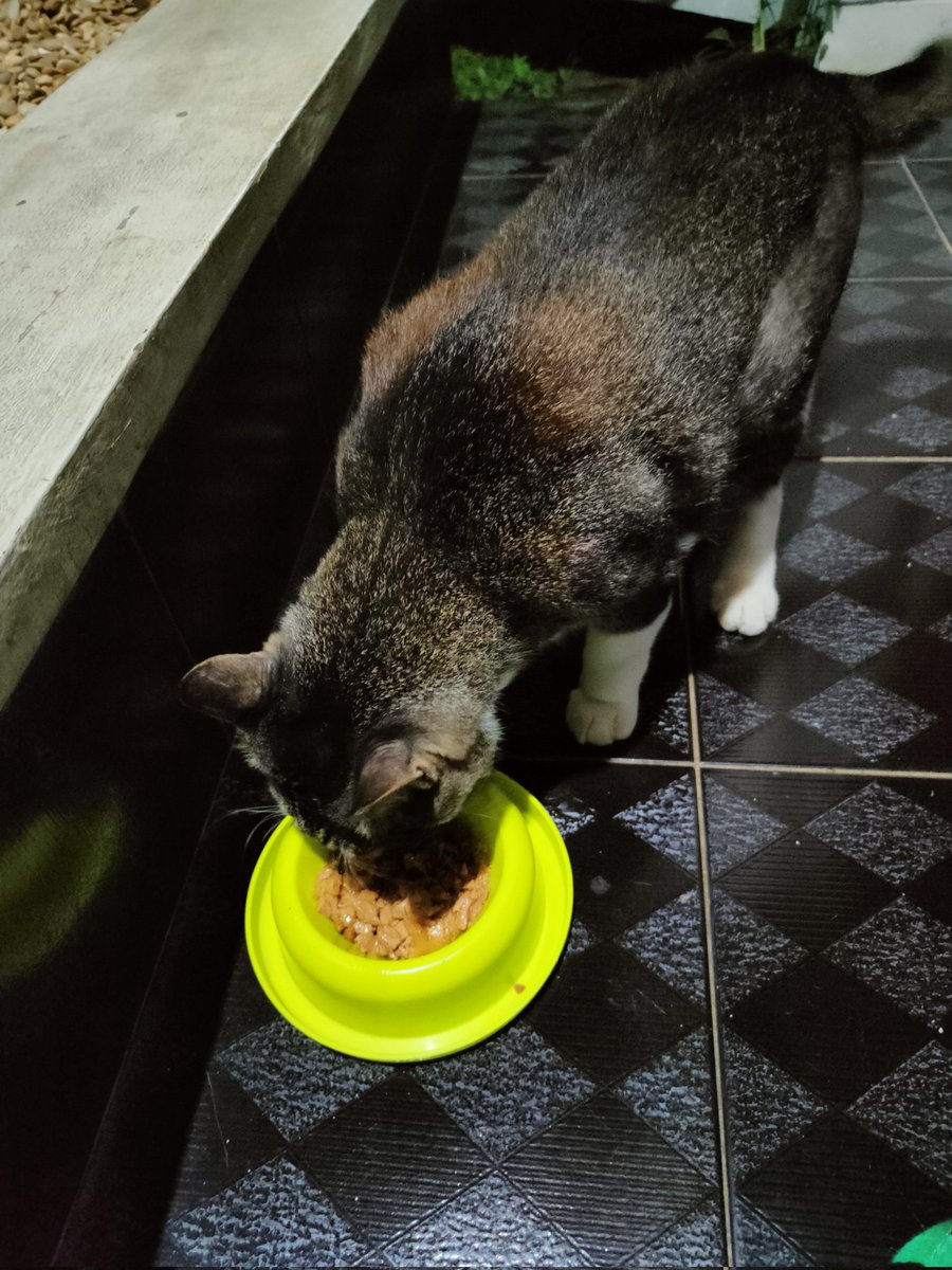 paspambul's tweet photo. Preman Komplek makan malam https://t.co/tMoc1g5FyU