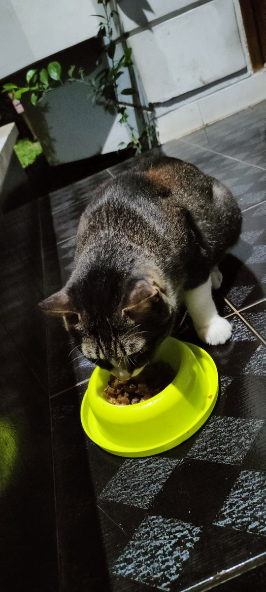 paspambul's tweet photo. Preman Komplek makan malam https://t.co/tMoc1g5FyU