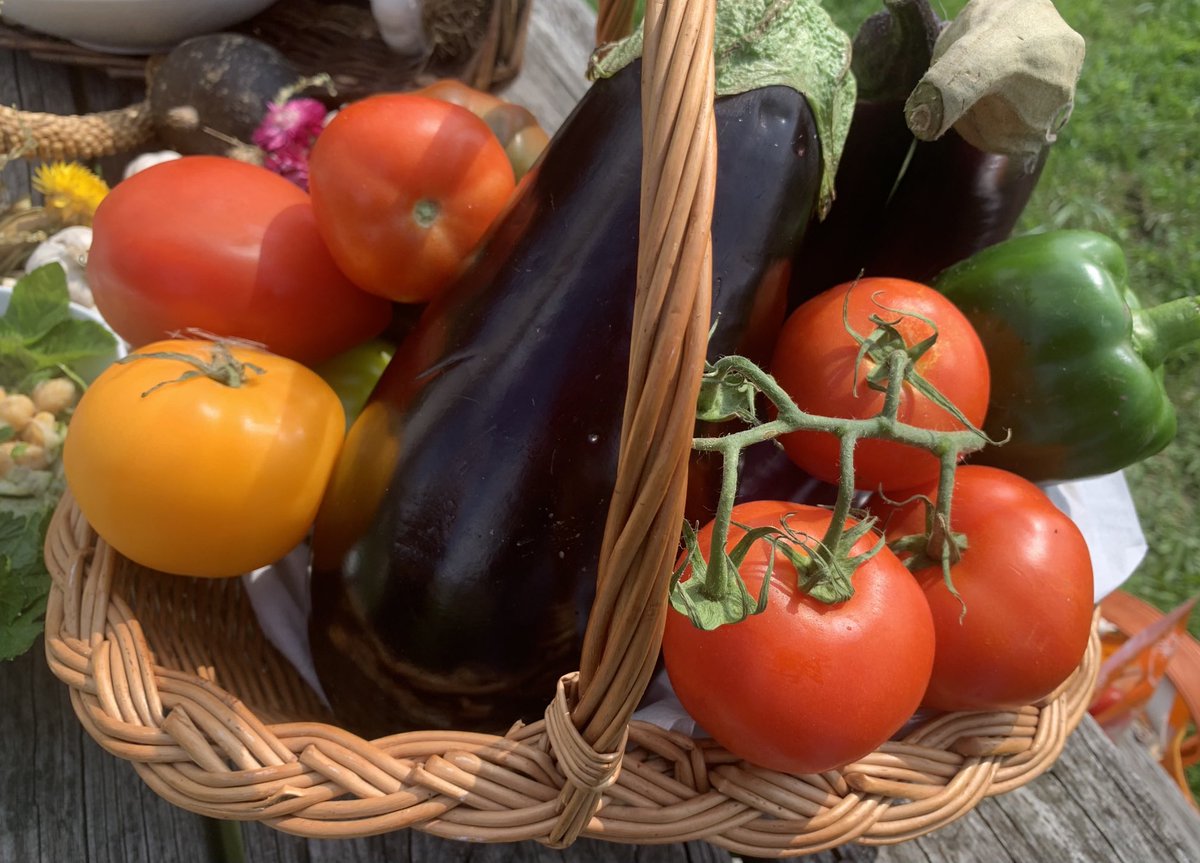 lesliebonci's tweet photo. #ActiveAdvice-What’s in your basket? Let’s make this September one to remember by finding ways to strategize, optimize and realize produce goals by including fruits and veggies every day in every way. #HaveaPlant #NFVM 2022 #fuelsofengagement https://t.co/apQdCS8x6L