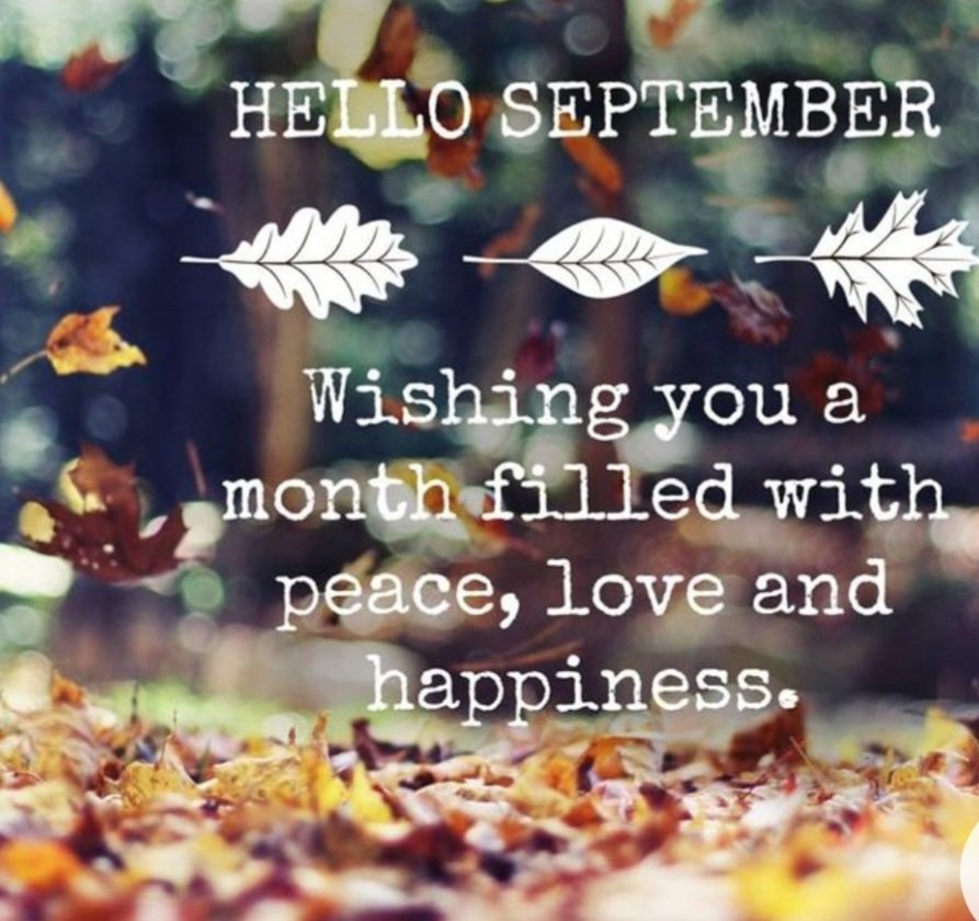 TZenscape's tweet photo. Welcome September thank you for the breakthroughs ahead 🙏

#hope #joy #love #peace #light #September2022 https://t.co/gqnzV9bWJb