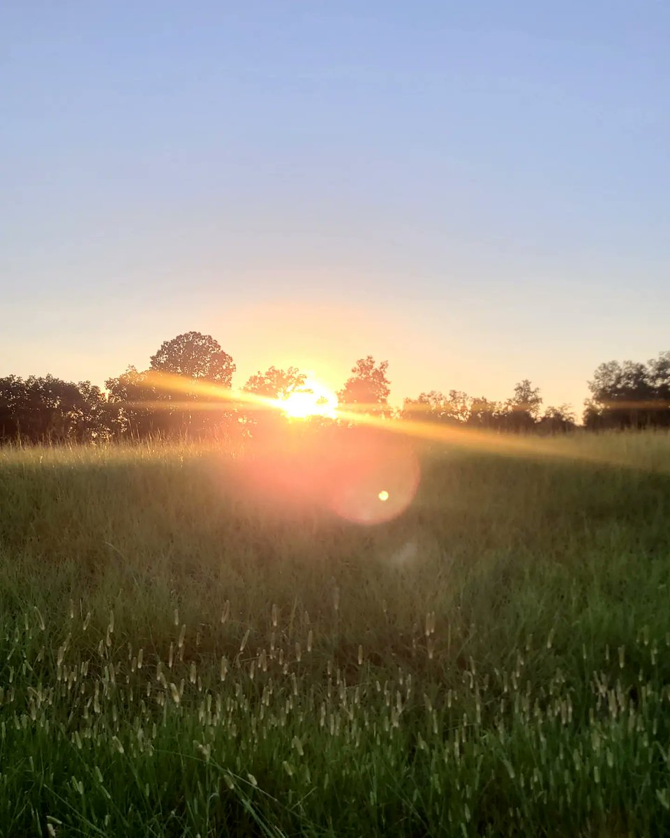 grammergorun's tweet photo. Last night's 3 mile run with a side of hills &amp; gorgeous sunset 🌅 https://t.co/3uqF85mkLl