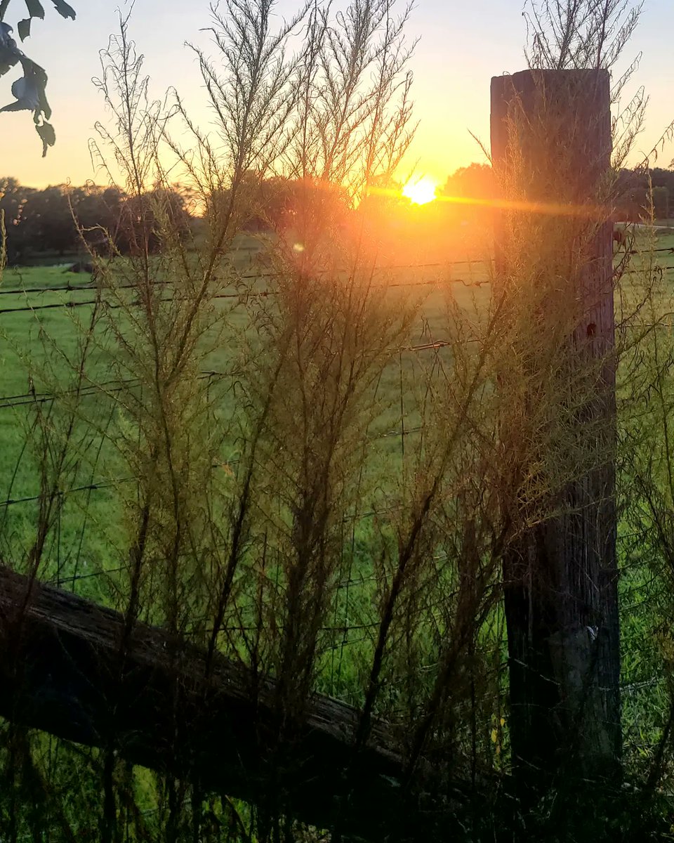 grammergorun's tweet photo. Last night's 3 mile run with a side of hills &amp; gorgeous sunset 🌅 https://t.co/3uqF85mkLl