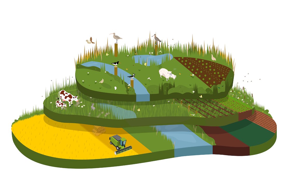 ToekomstGLB tweet media