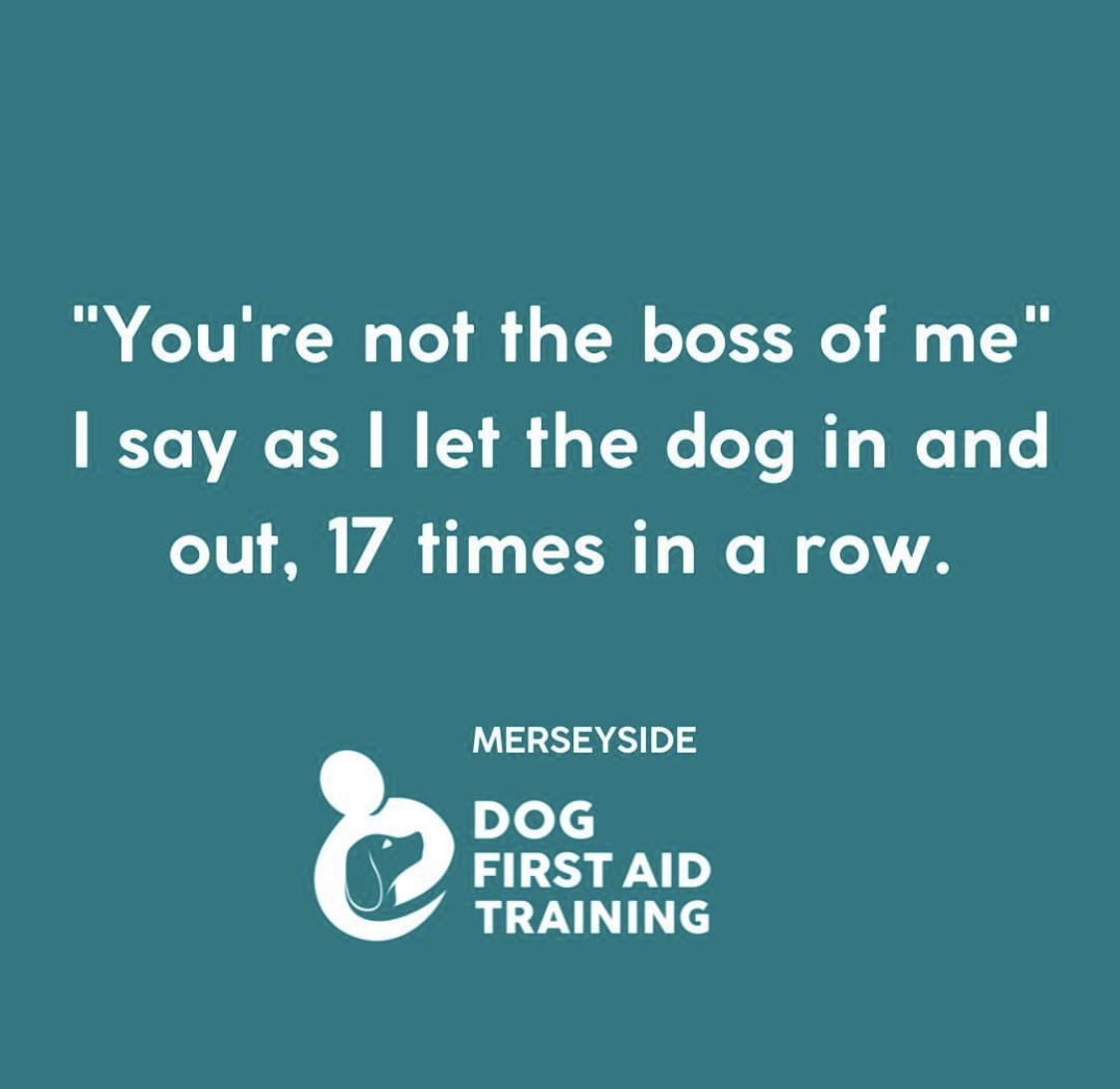 dogfirstaidkent's tweet photo. “You’re not the boss of me I say as I let the dog in and out, 17 times in a row”

Who can relate?

#DogFirstAid #Kent https://t.co/2c4n4vvNgb
