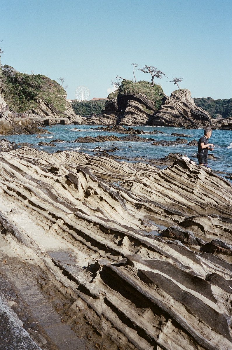 「これは去年三浦半島まで散歩しにいったときの写真。現像出すの忘れてたやつ 」|宗谷🐉🍓のイラスト