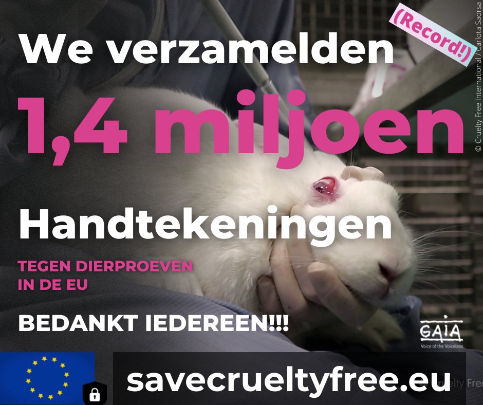 🇪🇺✊ Recordaantal Europese burgers tekent voor een EU zonder dierproeven 👉 Ook voor België afzonderlijk behaalden we het vereiste minimumaantal handtekeningen 🇧🇪✅ Bedankt voor jullie steun!! 🙏🙏 #UseScienceNotAnimals #VoiceOfTheVoiceless
gaia.be/nl/node/2658