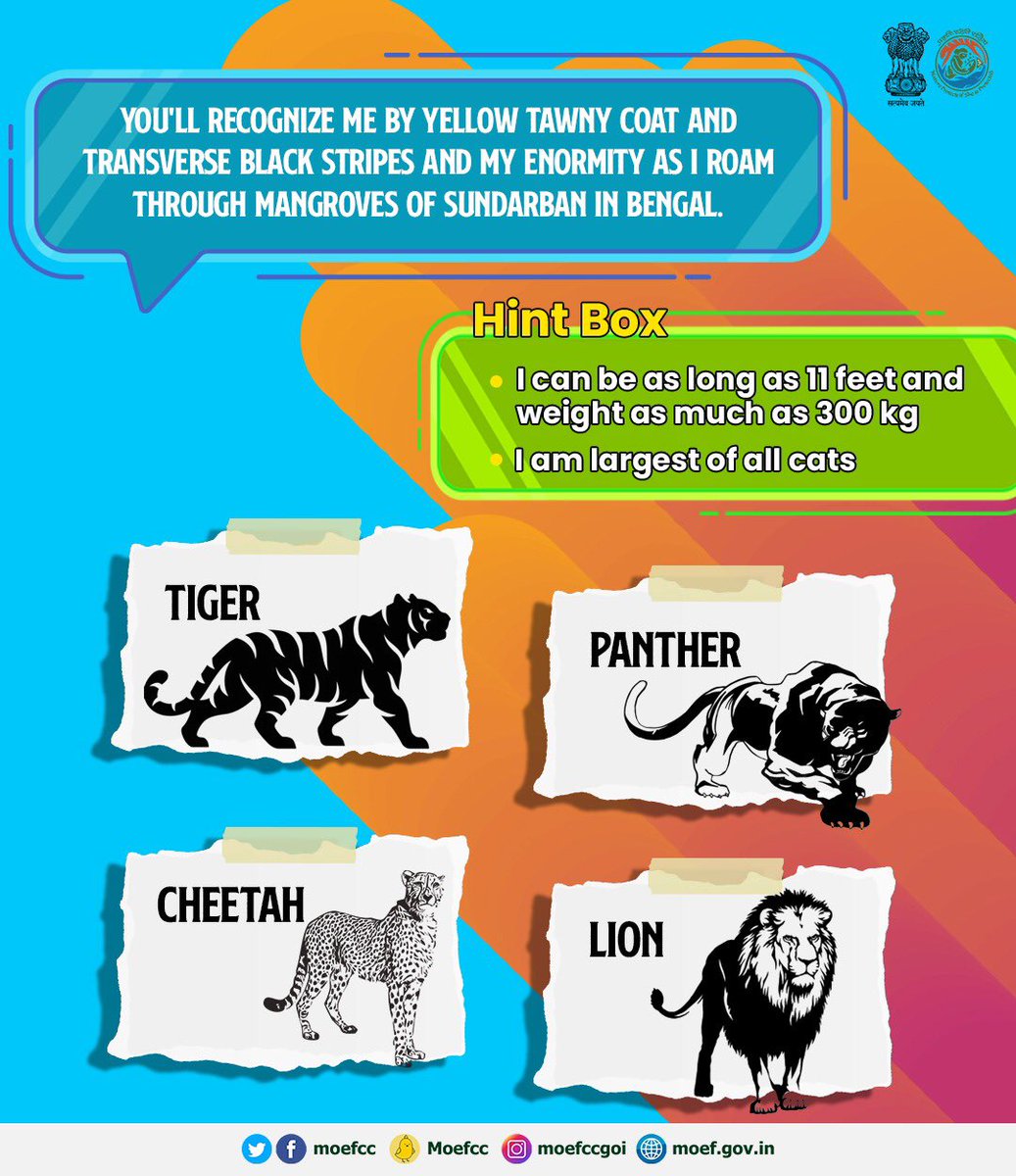 moefcc's tweet photo. Can you Identify the Wild Cat mentioned here! Don't forget to use Hint Box. #WildCatsofIndia https://t.co/l8g9pyXrJB