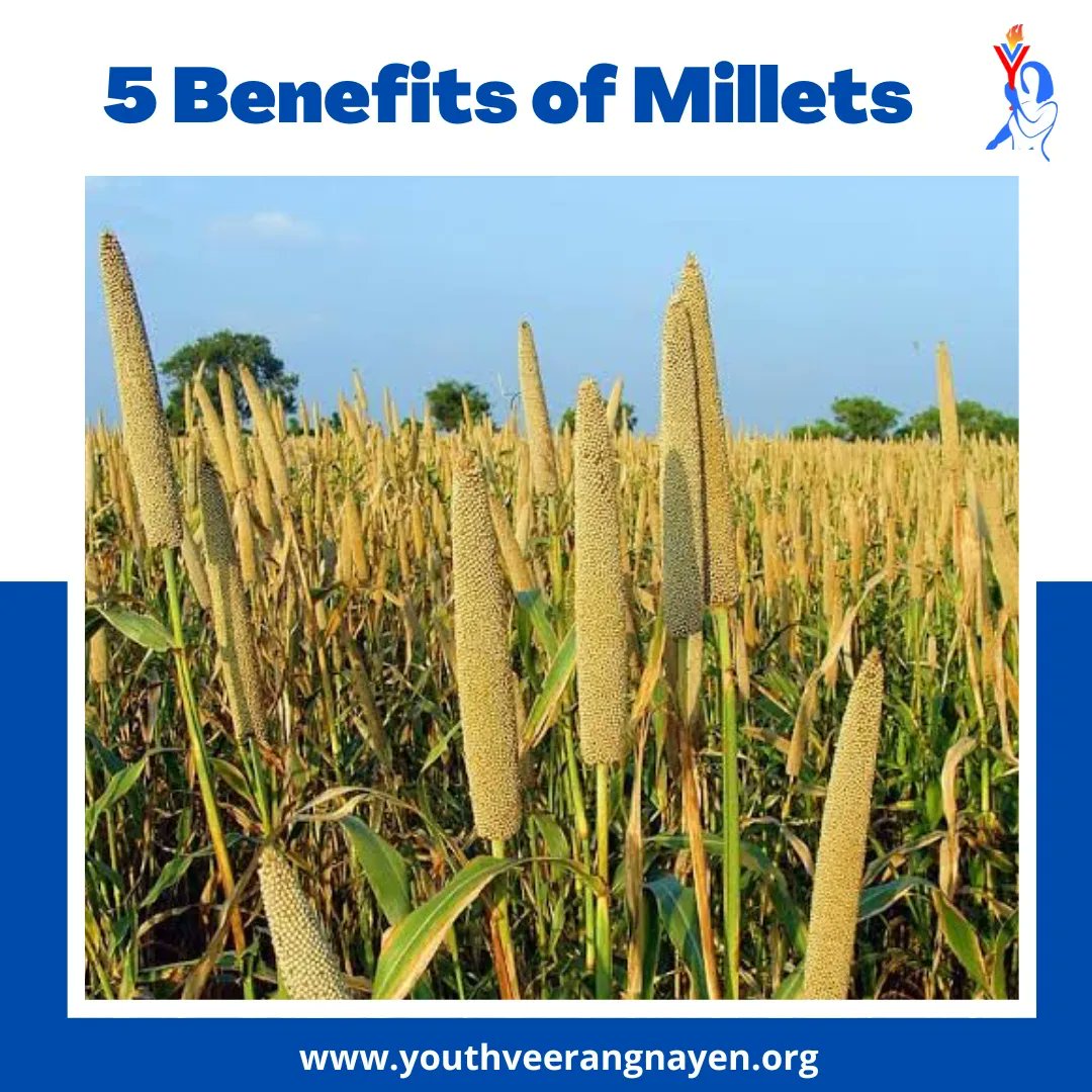 Yveerangnayen's tweet photo. While consuming millets and adding it to your diet is certainly healthy, what is also more important is how much you consume. Introduce them in small quantities and increase it as your digestive system gets adjusted to it. Consult your doctor beforehand to avoid any complications https://t.co/leqdqJBbKi