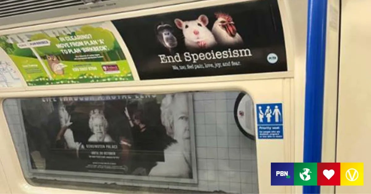 PlantBasedNews's tweet photo. The campaign from @PETAUK strived to educate passengers on speciesism. The posters feature pictures of animal faces alongside the words “we, too, feel pain, love, joy, and fear.”  https://t.co/iuOKwwXMkB https://t.co/aokLLWDgdD