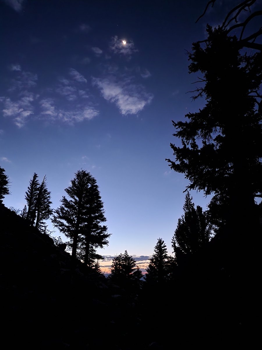 griz1's tweet photo. Beautiful dawn #sunrise with waning moon on the #RedLakeTrail @Inyo_NF. From our #SplitMt climb a few weeks ago. @SierraClubCA @dayhikingtrails @HikingAndNature @AmericanHiking @VisitCA @paul_krogstad @mackpurp https://t.co/7vO6Hmk1Px