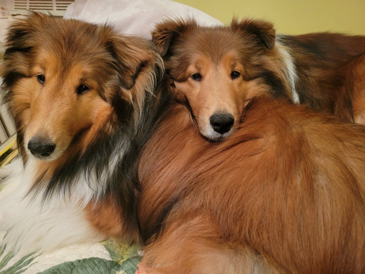 What do you mean it's time to get up?