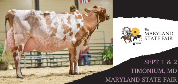 The Maryland State Fair kicks off this week with Cowsmo capturing the event! - mailchi.mp/772bc4e400bb/n…