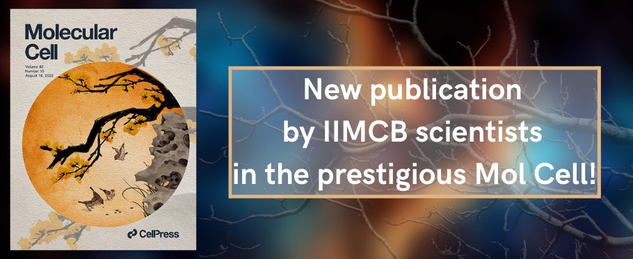 IIMCB_Poland's tweet photo. Great news again! New publication in @MolecularCell co-authored by @wojtek_pokrzywa from @IIMCB_Poland πππ
More: https://t.co/gKOSM35M0i
Link to the article: https://t.co/qWFCYxy8NI
#PokrzywaLab #MolCell #IIMCB #Science https://t.co/KfyTiRZ2NA