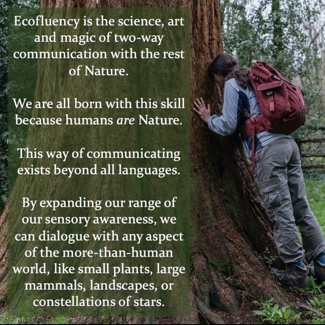 ecofluency's tweet photo. Ecofluency retreat at Embercombe, with autumn equinox ceremony: 23-25 September 🍁

Rekindle your ability to communicate with Nature, in all forms, to benefit your life and all other life on Earth! 💚

Details through link in bio, or on https://t.co/jADzeAobPT https://t.co/ngxjtxljx3