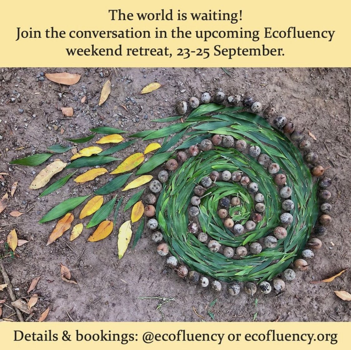 ecofluency's tweet photo. Ecofluency retreat at Embercombe, with autumn equinox ceremony: 23-25 September 🍁

Rekindle your ability to communicate with Nature, in all forms, to benefit your life and all other life on Earth! 💚

Details through link in bio, or on https://t.co/jADzeAobPT https://t.co/ngxjtxljx3