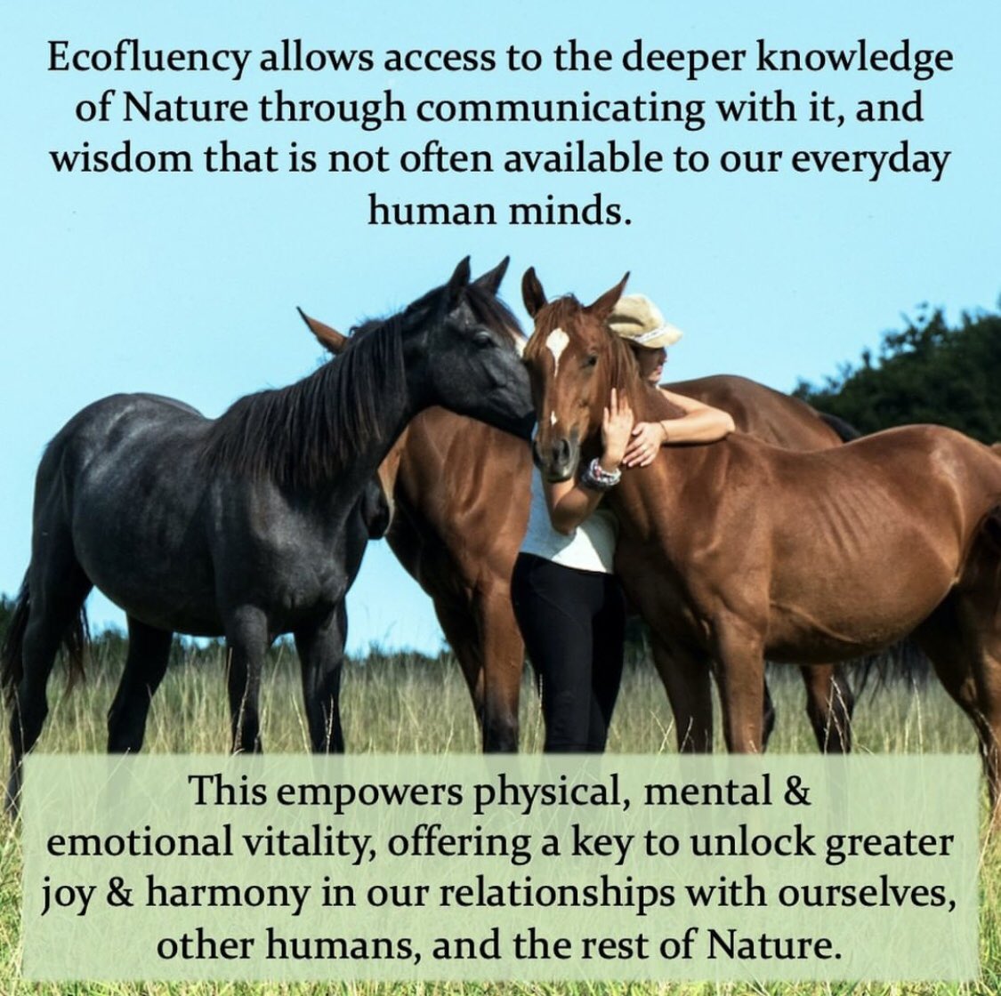 ecofluency's tweet photo. Ecofluency retreat at Embercombe, with autumn equinox ceremony: 23-25 September 🍁

Rekindle your ability to communicate with Nature, in all forms, to benefit your life and all other life on Earth! 💚

Details through link in bio, or on https://t.co/jADzeAobPT https://t.co/ngxjtxljx3