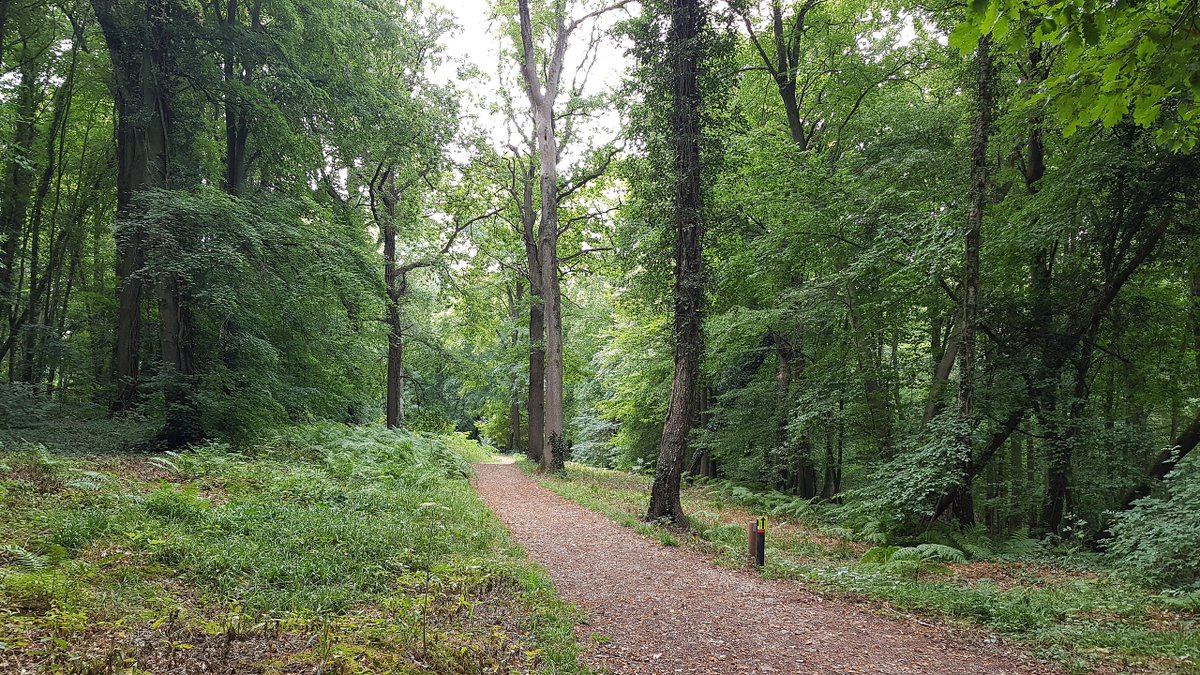 delevendenatuur's tweet photo. In De Splijtzwam laten we experts de degens kruisen over groene kwesties. In dit nummer pleit Bart Nyssen van Bosgroep Zuid Nederland voor nieuwe klimaatbestendige bomen. Bosecoloog Bert Maes is juist voor de kracht van inheemse bomen. 
Nog geen abonnee? > https://t.co/19n4P8L6nq https://t.co/tKq2qNAoi9