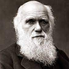 WMedICKazoo's tweet photo. What piece of office furniture dates back to Darwin? Read on to find out. "Charles Darwin's Unexpected Invention That Changed The Way People Work Forever" https://t.co/ChZLnu06xv https://t.co/ZvNYkNlhah https://t.co/rAVqE2Ghwm