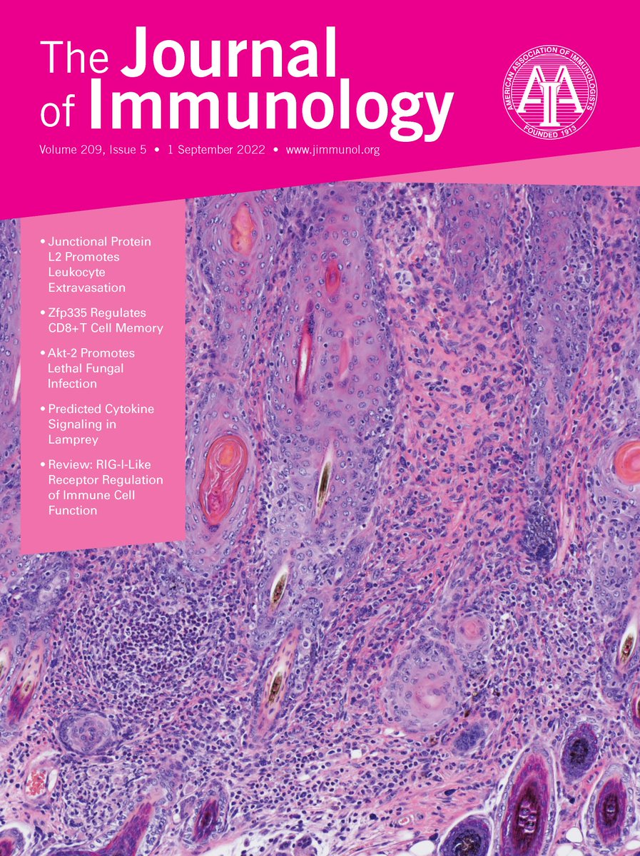 J_Immunol's tweet photo. Congratulations to #JI_Editor Craig Bassing for providing the images for the September 1 cover! | The #Rag1 ubiquitin ligase domain functions in vivo to stimulate #TCRbeta and #TCRalpha gene recombination https://t.co/dECZOnsw61 https://t.co/3dx5H1UOYJ