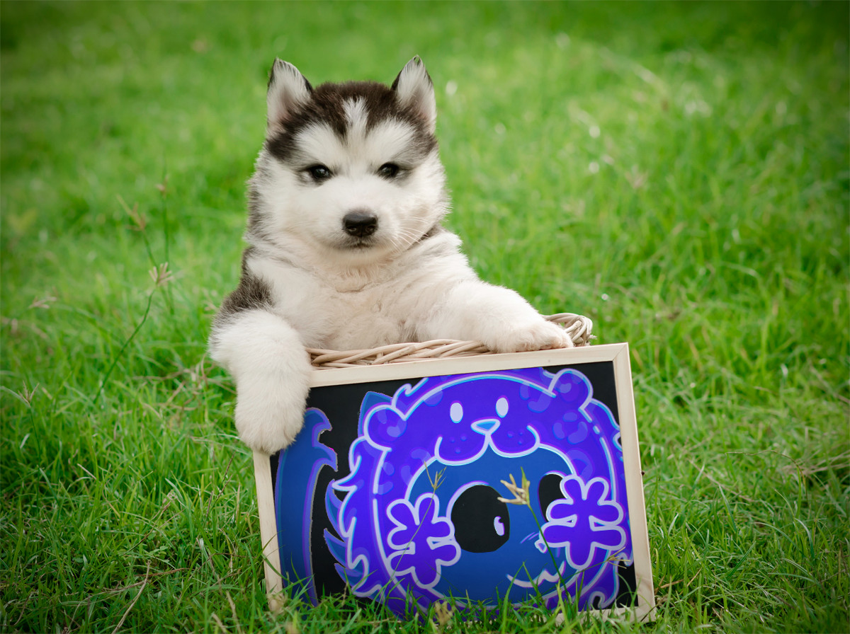 Although some things go relatively slowly
But good things will come
#NFT #opensea #CuteCat #Etherum #BTC