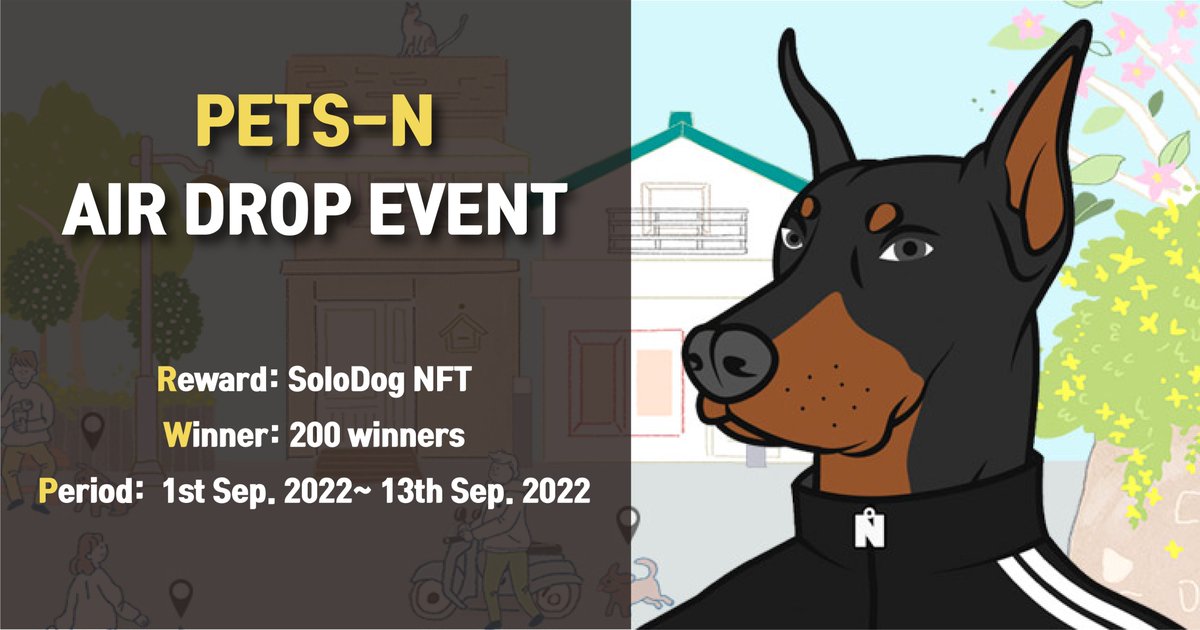 SoloDog tweet media