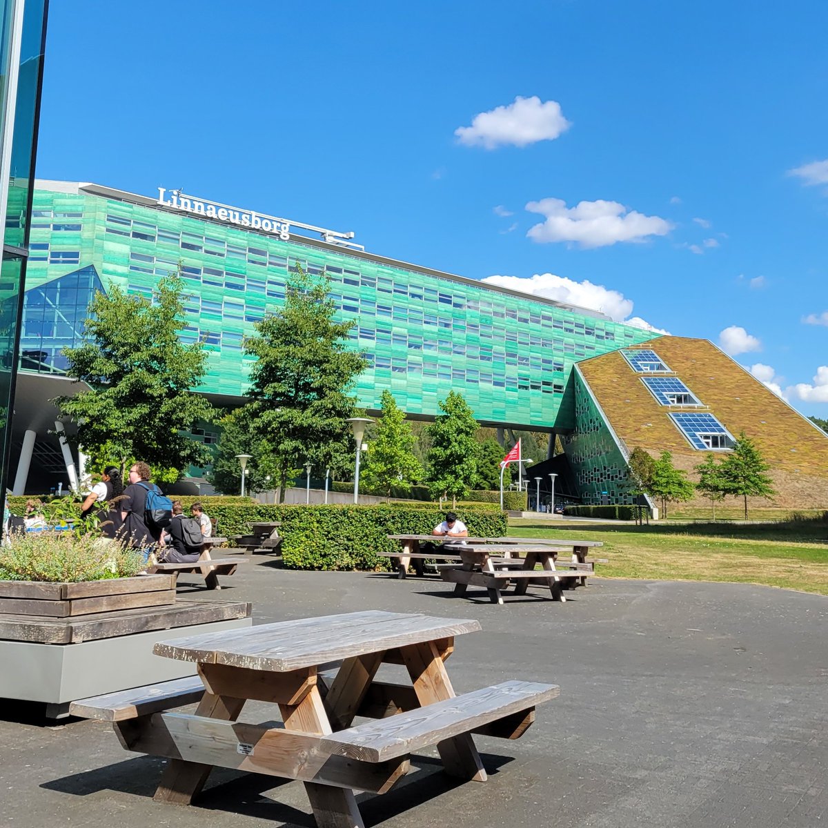 Thank you so much to @Silwood_Park <a href="/Jj255/">J Schroeder</a> and <a href="/richjgill/">Gill research group</a> for the invaluable experience in the past couple of years🐣🐝🌳

Super excited to start a PhD in <a href="/univgroningen/">University of Groningen</a> and <a href="/uniofeastanglia/">UEA</a> with <a href="/hannahdugdale/">Dugdale Research Group</a> and <a href="/DSRichardson68/">David S Richardson</a> on Senescence in the <a href="/SeychellesWarb/">SeychellesWarbler</a> !!