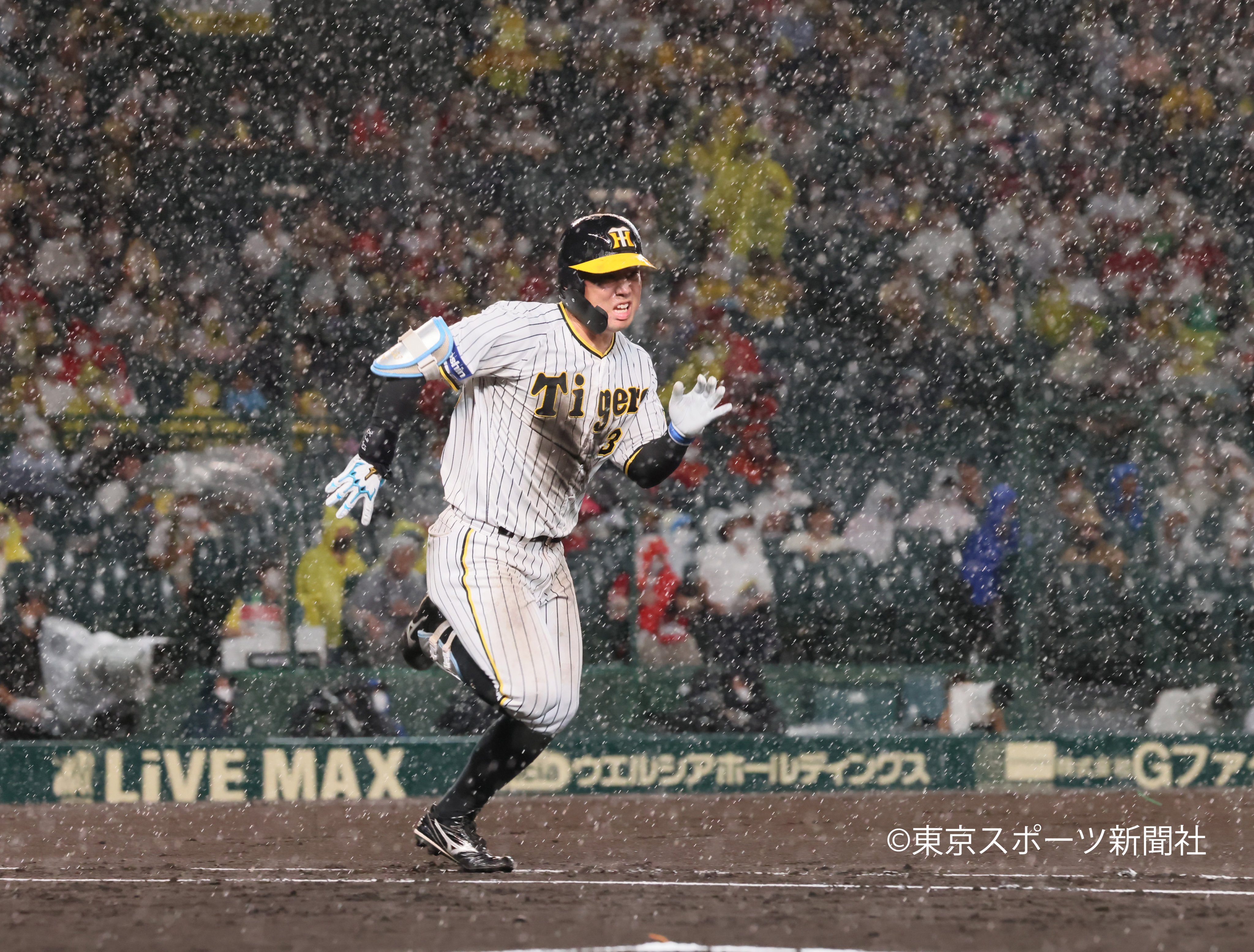 サトちゃん プロ野球 ユニフォーム ソフビ 当時もの 9体 阪神 中日 広島 キャラクターグッズ