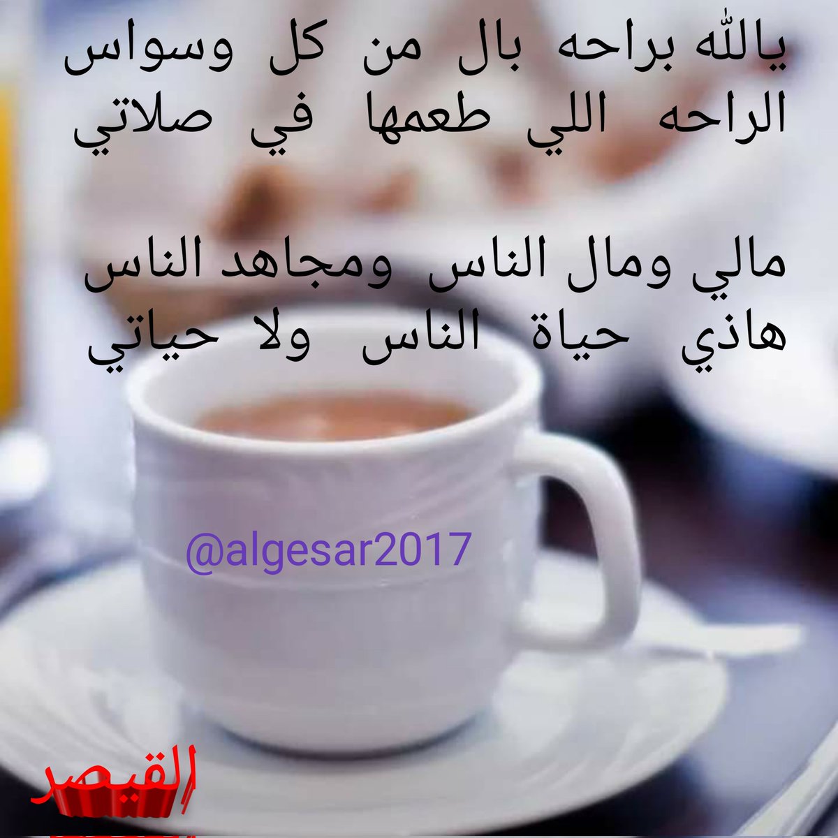 algesar2017 tweet picture