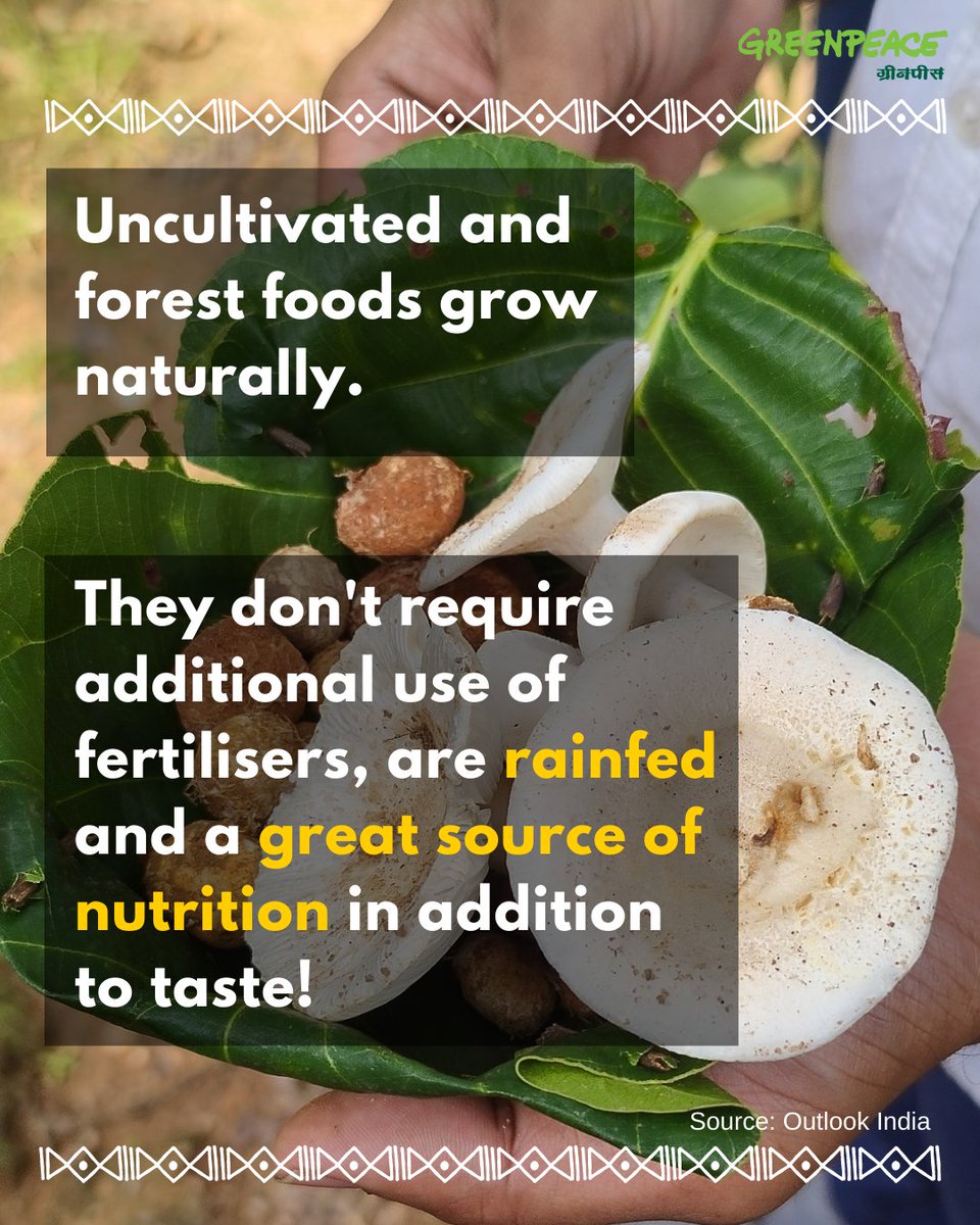greenpeaceindia's tweet photo. What makes the #indigenous communities' diet and food to be nutritious as well as #climate resilient? Let's find out! #Swadish celebrates them and their food.
Coming soon!
(Swadish event and content has developed under guidance of the #adivasi communities in #Jharkhand) https://t.co/CoJdmy3zLD