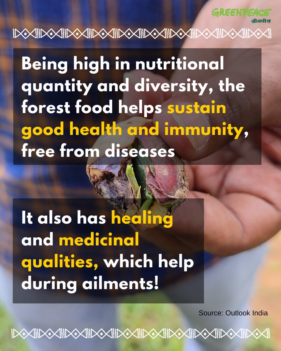 greenpeaceindia's tweet photo. What makes the #indigenous communities' diet and food to be nutritious as well as #climate resilient? Let's find out! #Swadish celebrates them and their food.
Coming soon!
(Swadish event and content has developed under guidance of the #adivasi communities in #Jharkhand) https://t.co/CoJdmy3zLD