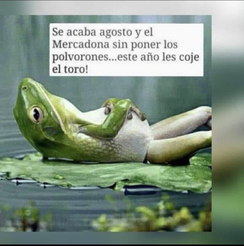 Raquel Estruch tweet media