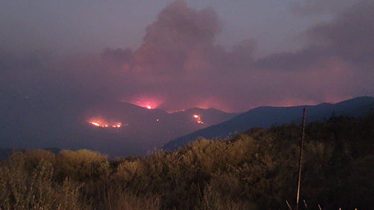 Tfireprivate's tweet image. #BorderFire