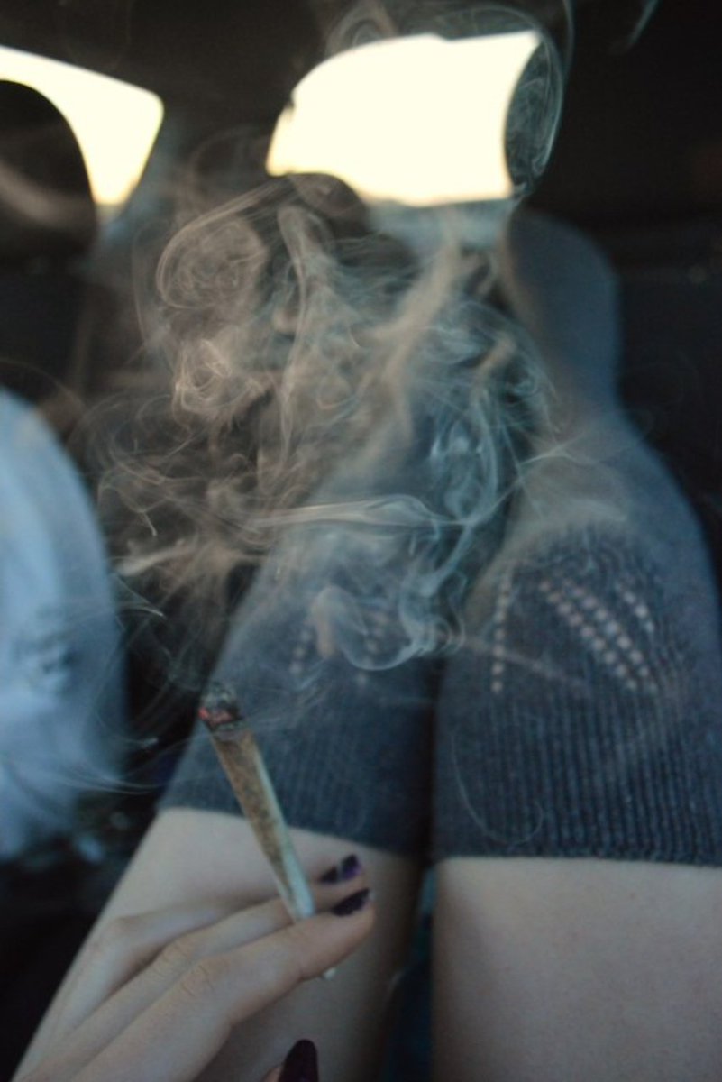 Antifente's tweet photo. Beginn der Hanfernte auf dem Chillhof der Familie Nice in der #Partylounge: Geiles Cannabis und damit auch der #Bubatz stehen für entspannten Genuss, der in der ganzen Welt geliebt wird … https://t.co/sdFvu7bfT1