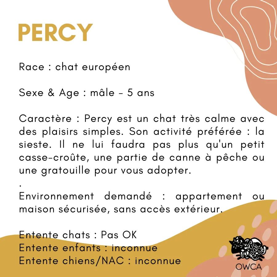 Association Owca tweet media