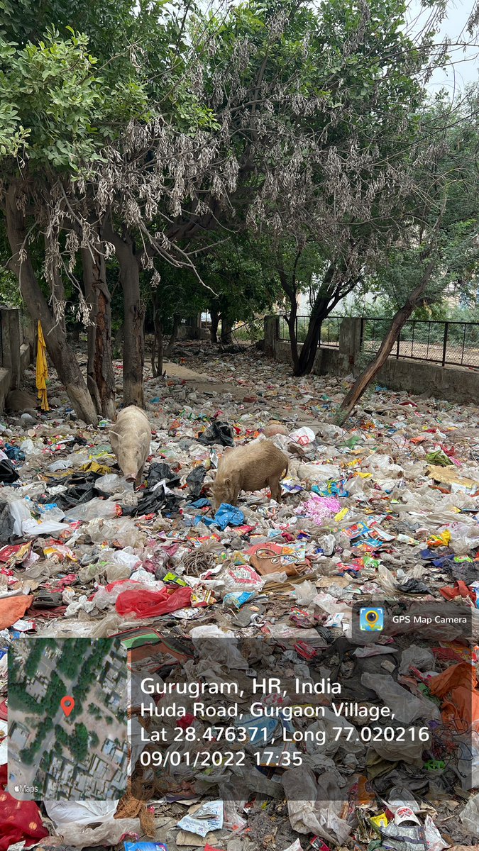 सेक्टर 5 पुलिस चौकी के सामने ग्रीन बेल्ट की हालत ! शर्म आती है आपके कर्मचारियों को या भ्रष्टाचार में बेच खाई ? पैसे लेने के अलावा कोई खूबी या कोई काम करते हैं <a href="/DC_Gurugram/">DC Gurugram</a> <a href="/MunCorpGurugram/">MCG</a> <a href="/CPCB_OFFICIAL/">Central Pollution Control Board</a> <a href="/moefcc/">MoEF&CC</a> <a href="/nishantyadavIAS/">Nishant Yadav IAS</a> <a href="/sudhirsinglabjp/">Adv Sudhir Singla</a> <a href="/cmohry/">CMO Haryana</a>